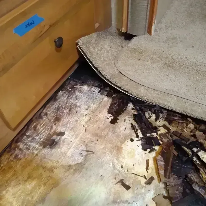 Best Wood Floor Water Damage Service in Adams County, IN